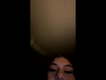 dazzlingkitten