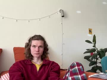 di n alex