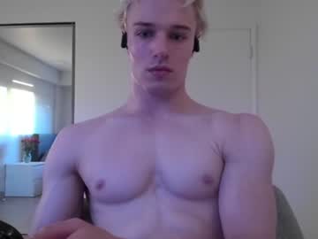 thelevimeyers